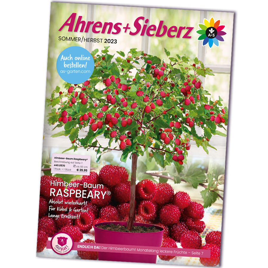 Katalog bestellen Ahrens+Sieberz Pflanzenversand & Gartenbedarf