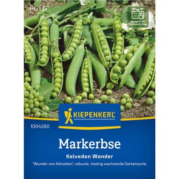 Markerbse 'Wunder von Kelvedon'