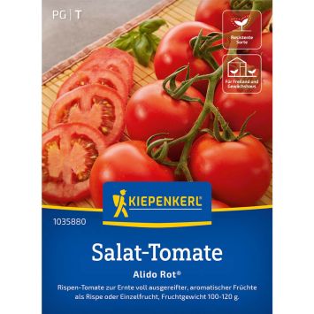 Salattomate 'Alido Rot®' F1